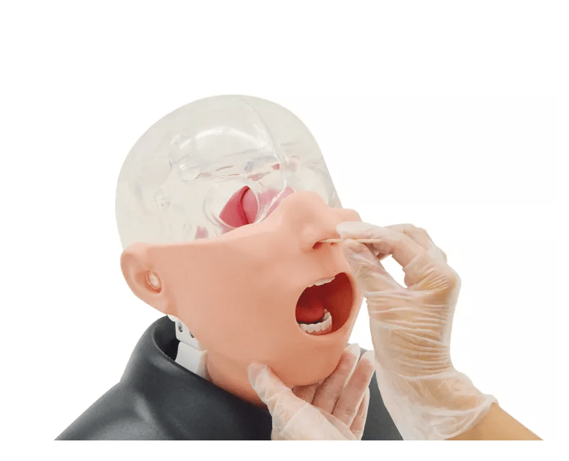 Nasopharyngealer Abstrichsimulator - Erler - Zimmer